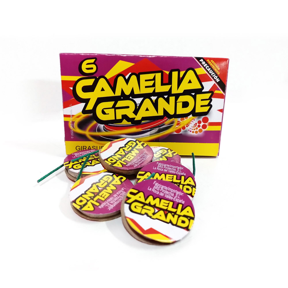 Camelias Grandes 6 Unidades